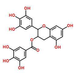 Donkey Anti-Goat IgG antibody (HRP). GTX232040-01