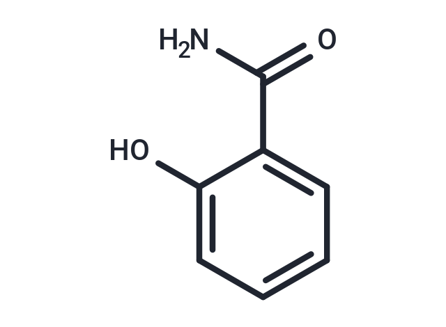 Donkey Anti-Goat IgG antibody (HRP). GTX232040-01
