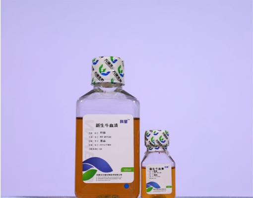 Donkey Anti-Goat IgG antibody (HRP). GTX232040-01