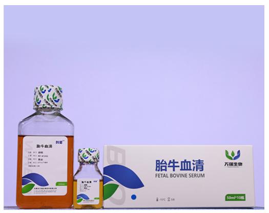 Donkey Anti-Goat IgG antibody (HRP). GTX232040-01